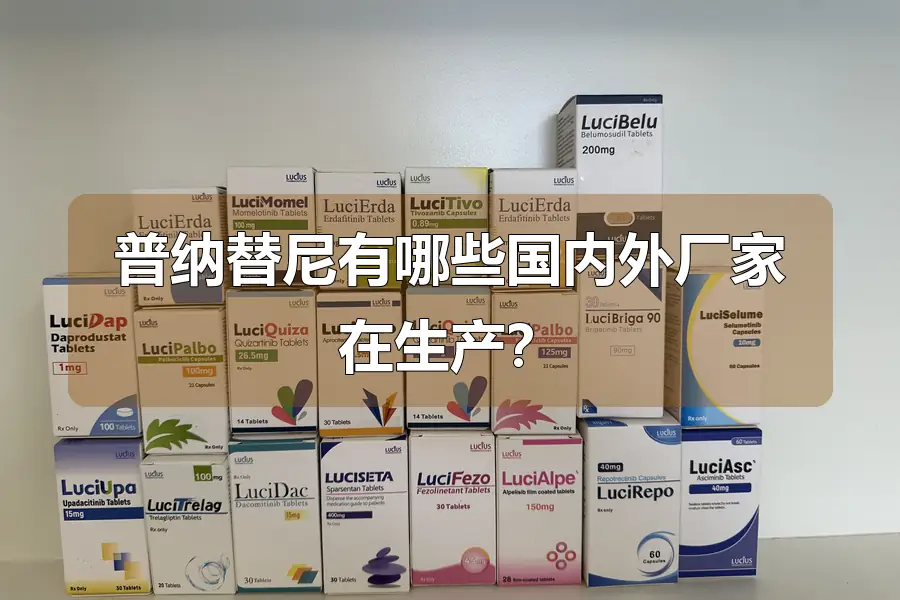 普纳替尼有哪些国内外厂家在生产？